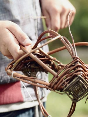 Zomerkampje #1 - Kriebelbeestjes