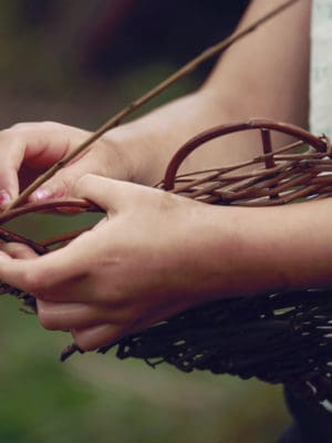 Zomerkampje #3 - Fladderdieren