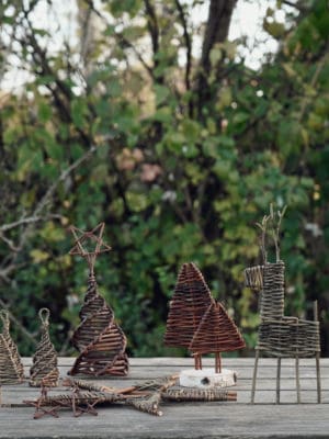 Workshop 15/12 - Kerst