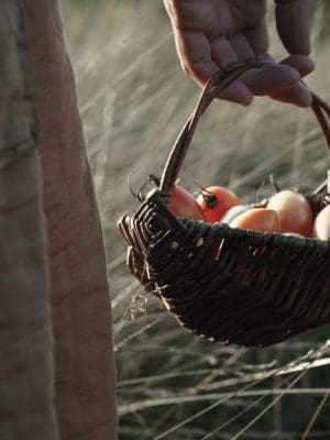 Kleine wildplukkersmand