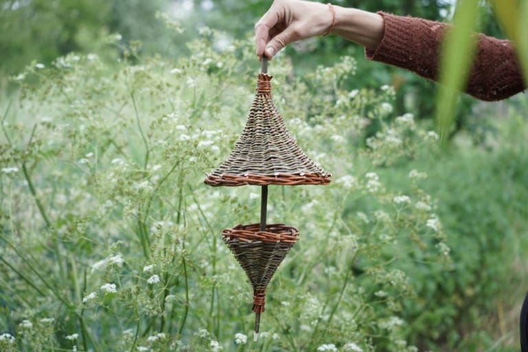 DSC06457