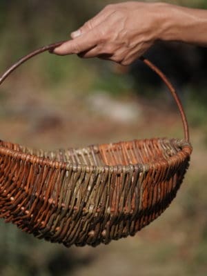 Dagworkshop 10/11 - Ronde beugelmand