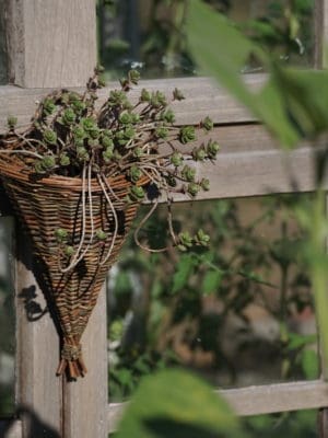 Workshop 15/9 - Bloemenhanger